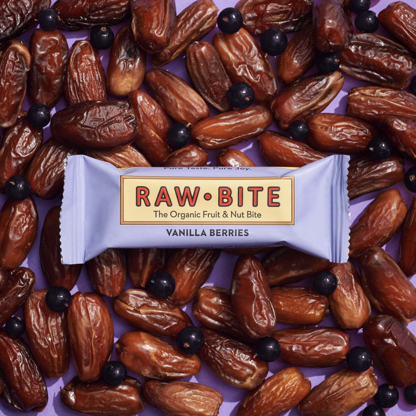 RAWBITE Vanilla Berries