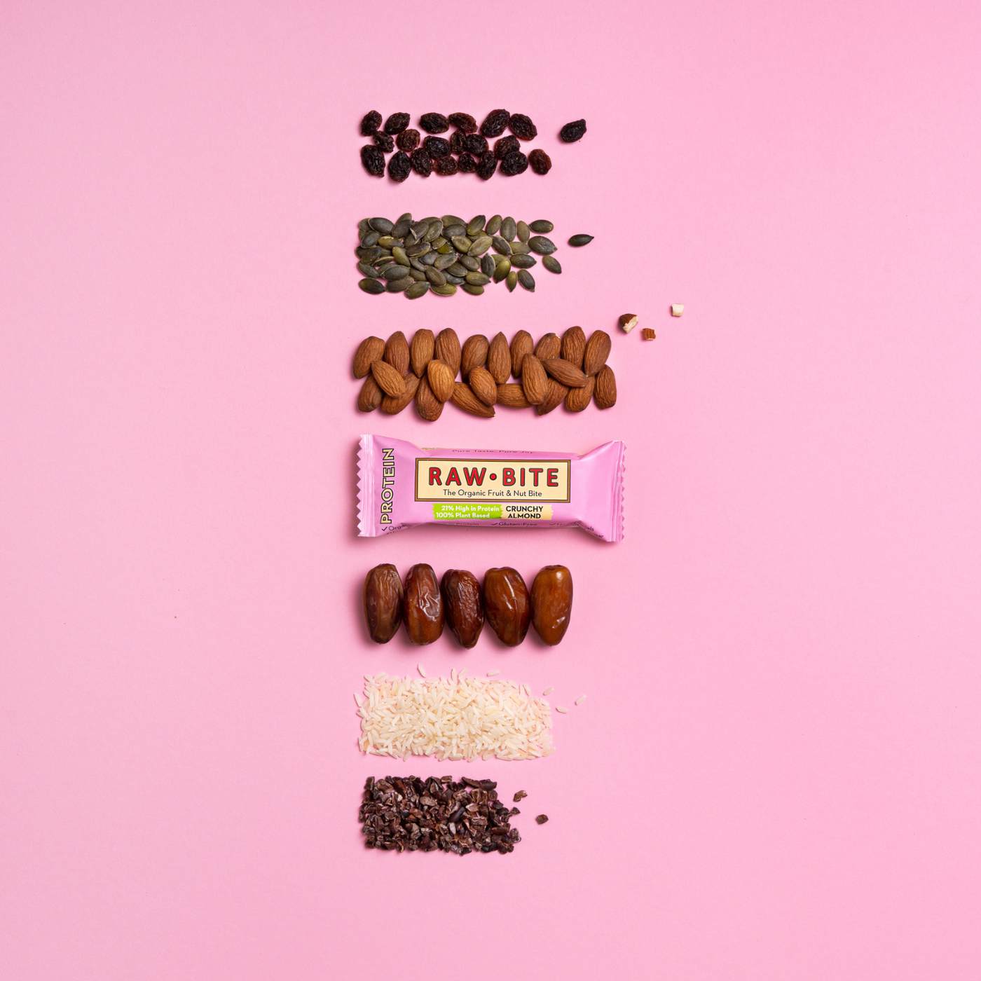 RAWBITE Protein Crunchy Almond
